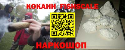 мдпв Жуковский