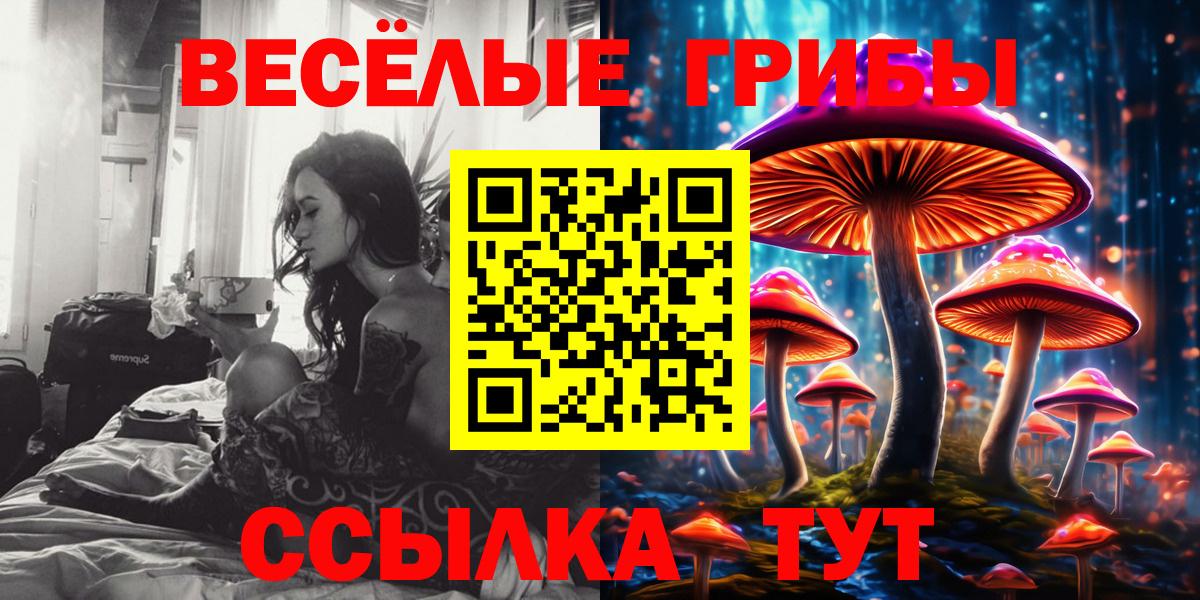 Лениногорск  как найти   Галлюциногенные грибы ЛСД  Вход с VPN  Псилоцибиновые грибы мухоморы 
