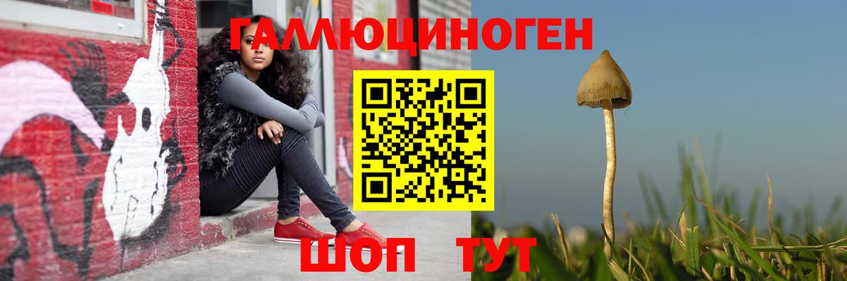 Галлюциногенные грибы Cubensis Лениногорск
